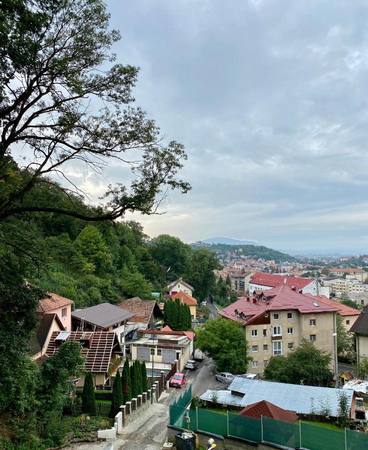 Nature Apartment - Minutes Away From The Old Town And Afi Mall Braşov Eksteriør bilde