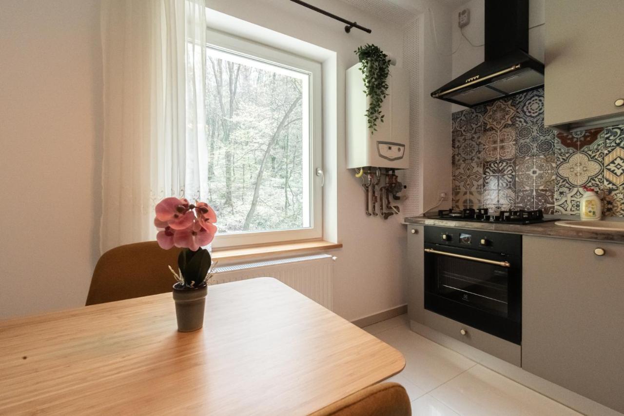 Nature Apartment - Minutes Away From The Old Town And Afi Mall Braşov Eksteriør bilde